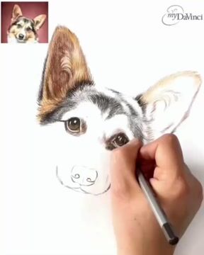 Thetrueh: I will draw a professional pencil pet portrait for $5 on  fiverr.com | Dog pencil drawing, Dog face drawing, Dog drawing